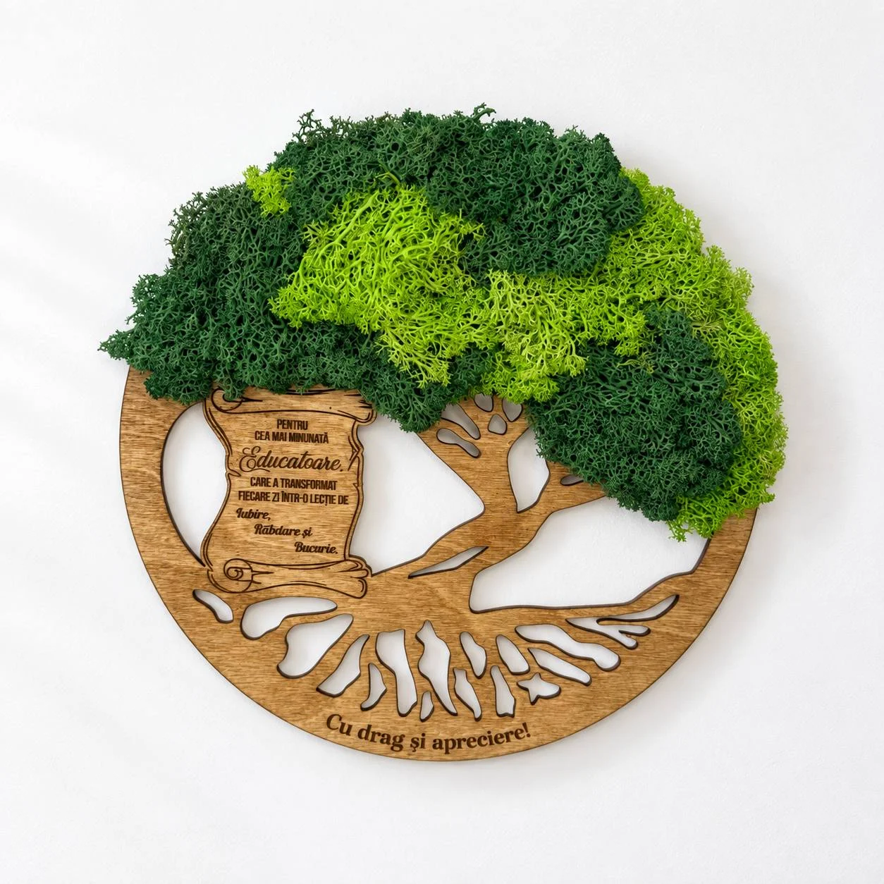 Panou „Arborele Vieții” cu licheni pentru educatoare