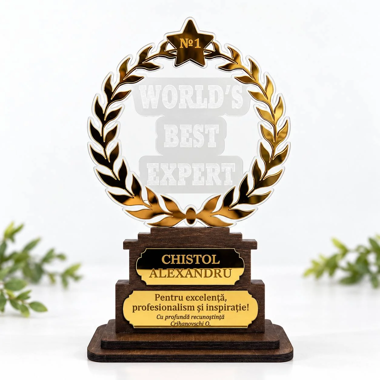 Trofeu personalizat „World’s Best Expert”