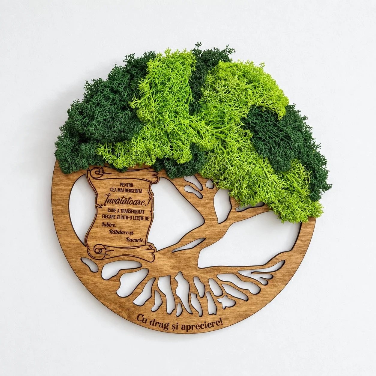 Panou „Arborele Recunoștinței” cu licheni pentru învățătoare